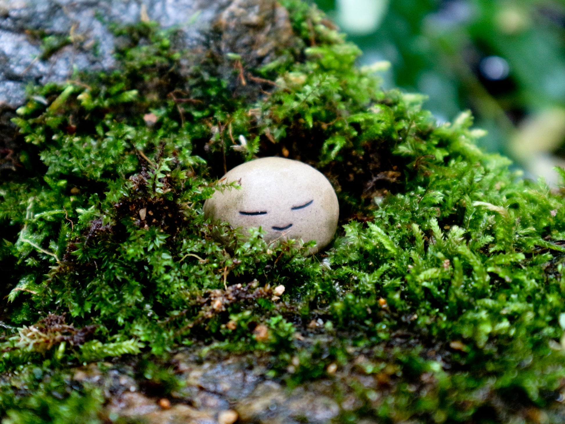 Meditating Stone