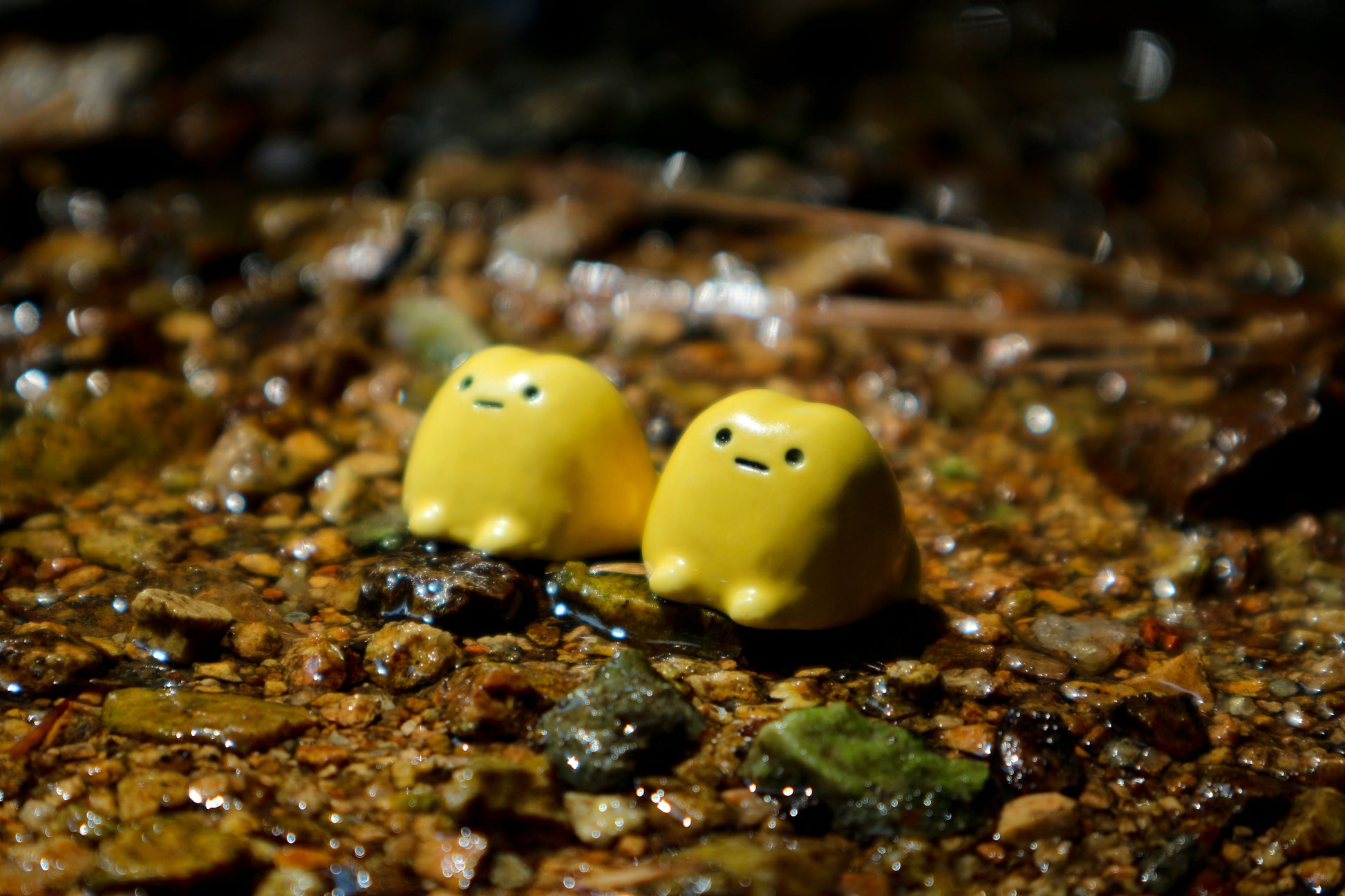 Yellow Maemkkong