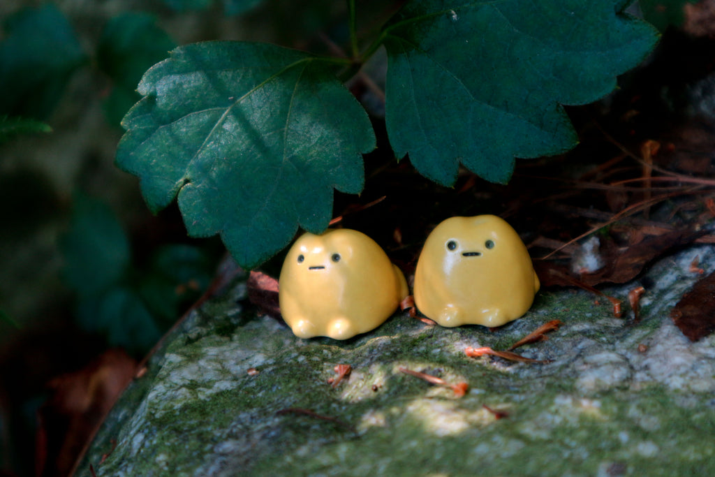 Yellow Maemkkong