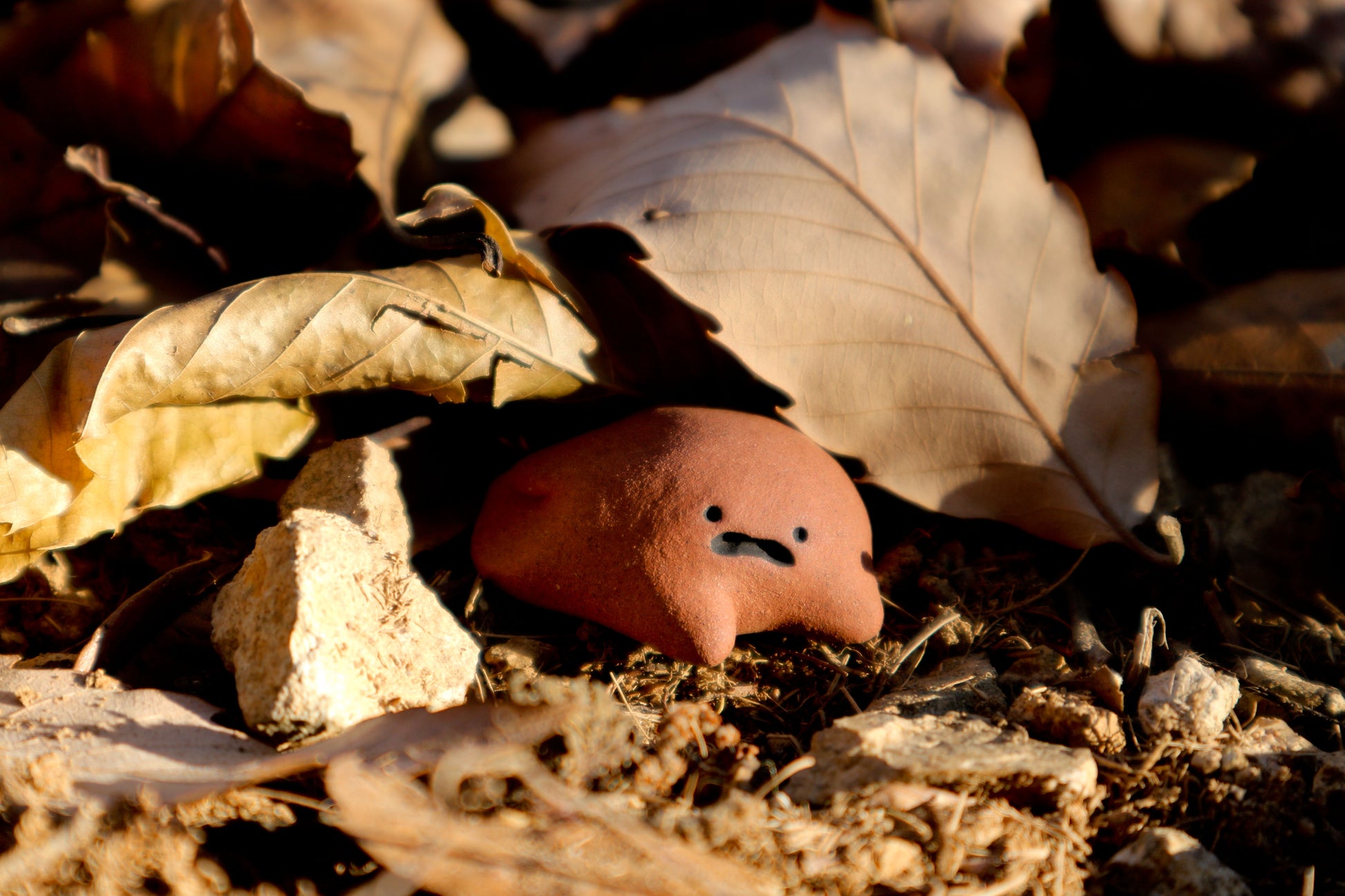 Flabby Chukchuk