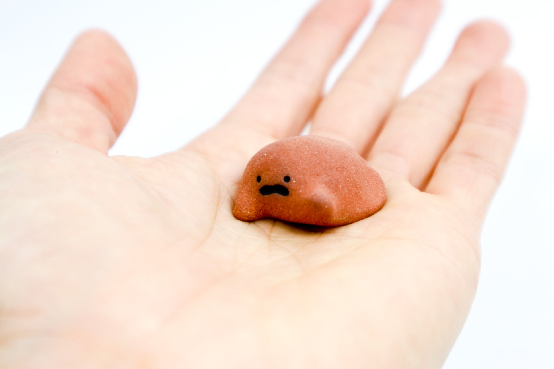 Flabby Chukchuk