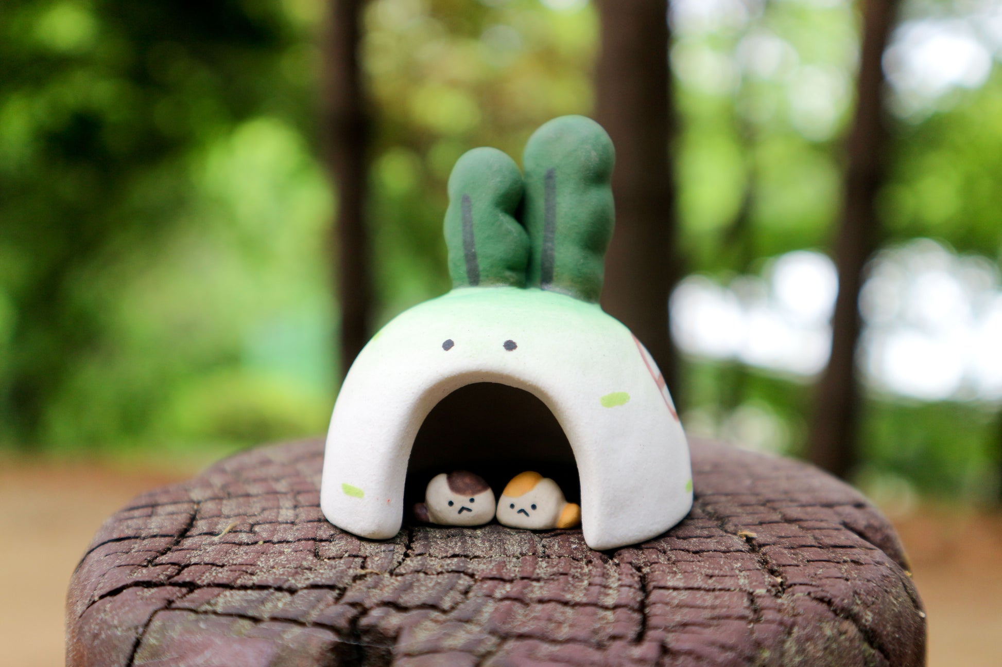 Totti's radish house