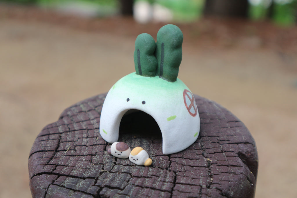 Totti's radish house